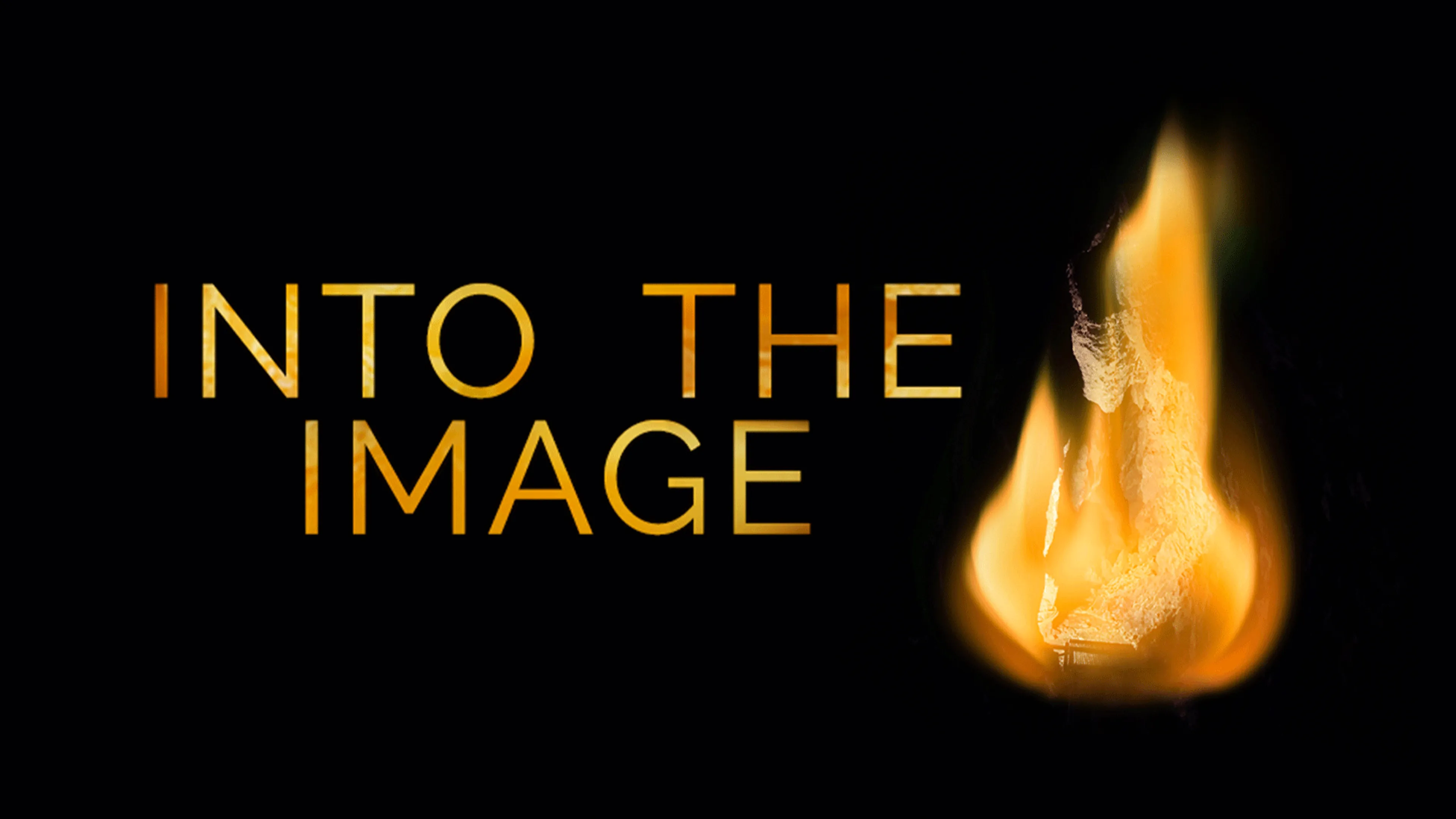 Into The Image poster